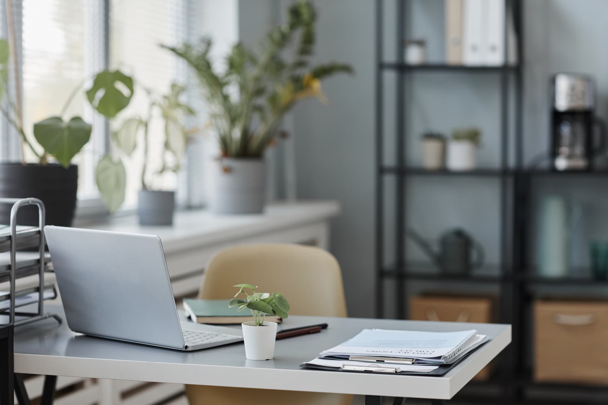 Heller Raum mit Schreibtisch, Laptop und Pflanzen